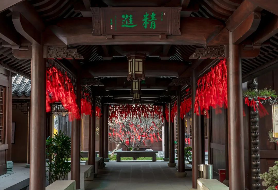 精进.jpg